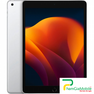 Thay Thế Sửa Ổ Khay Sim iPad 10.2 2021 Không Nhận Sim